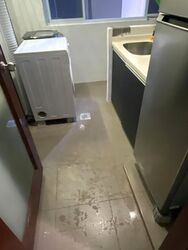 Langston Ville (D9), Apartment #563716601